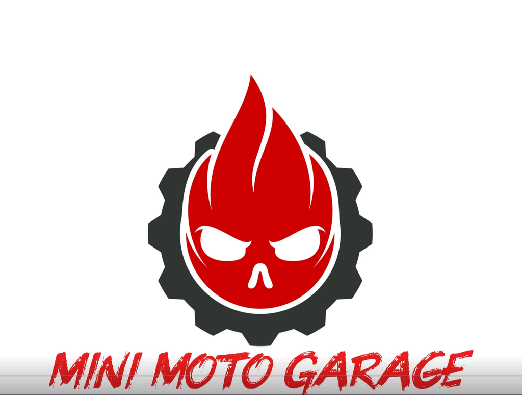 Pit Viper 110cc 4-Stroke Pit Bike (street legal) electric start